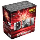 Nico - Red Dahlia